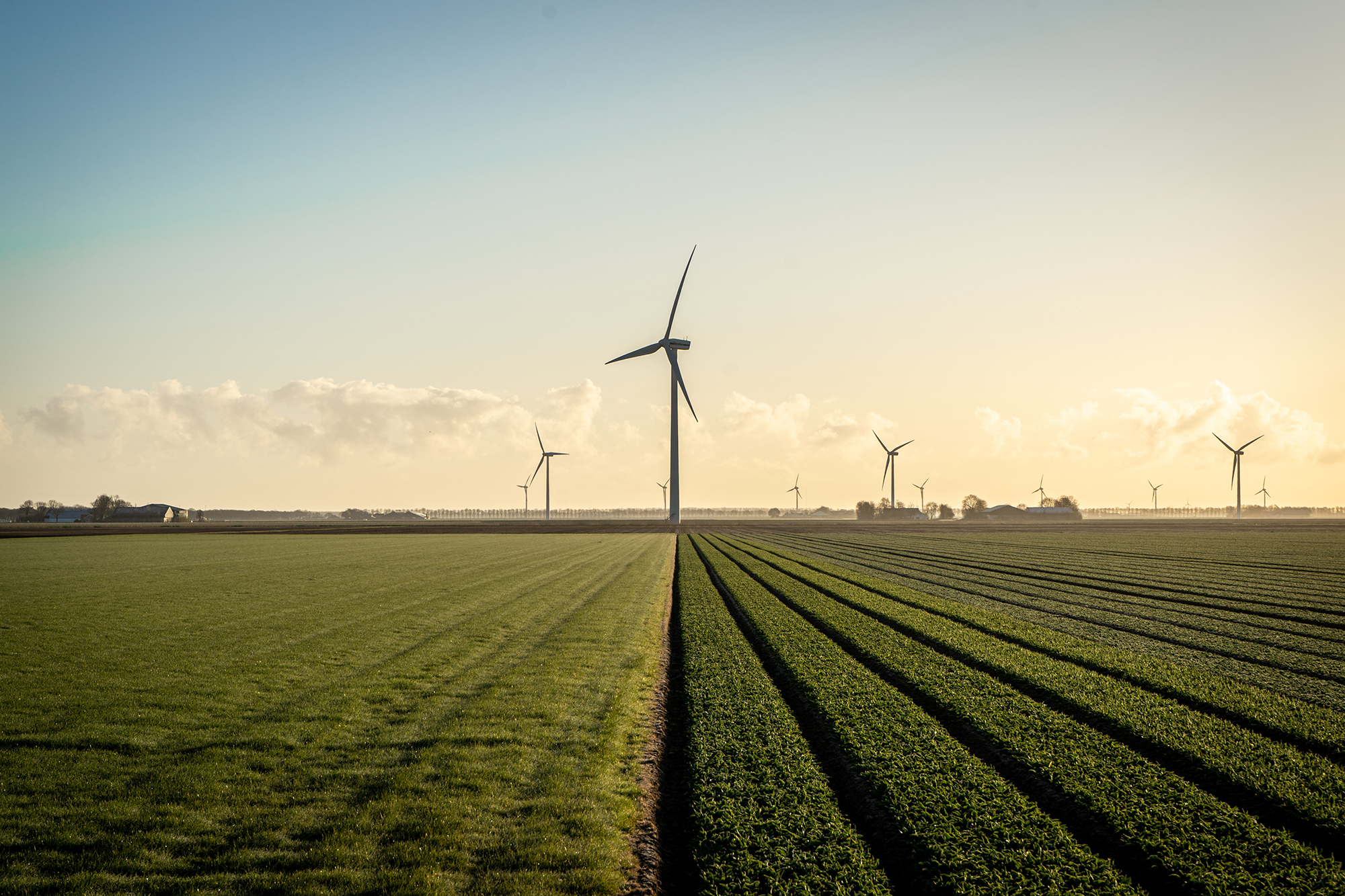 Windmolens in Nederlands landschap, foto Peter Beukema